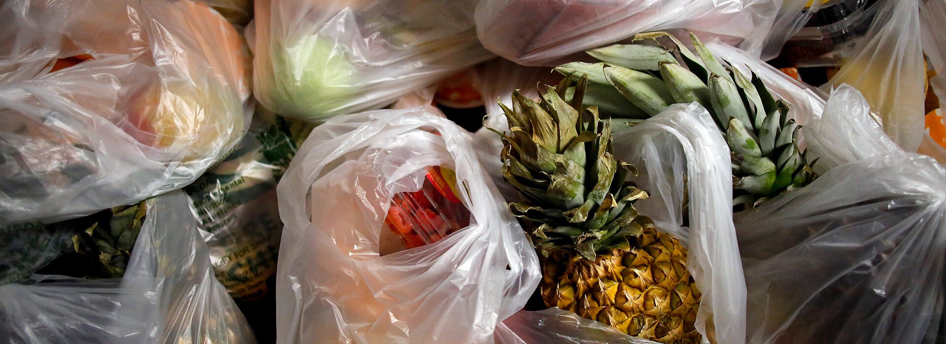 Bolsas para comer en la oficina