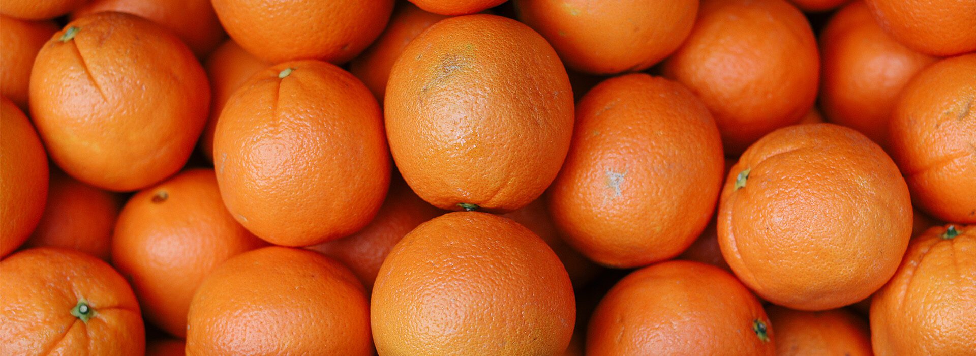 Dozens of ripe oranges.
