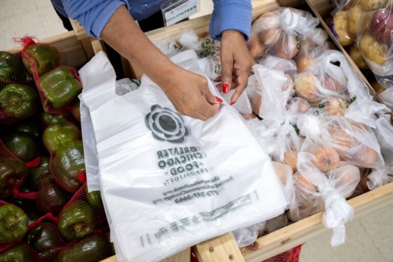 Greater Chicago Food Depository grocery bag. 